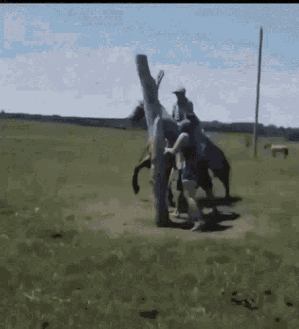 Wild Thang Horse Bucking Rider