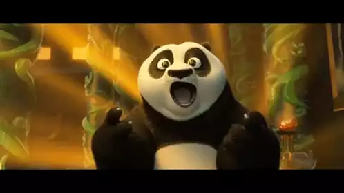 Po from Kung Fu Panda Looks Surprised