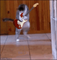 GIF