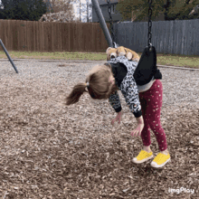 GIF