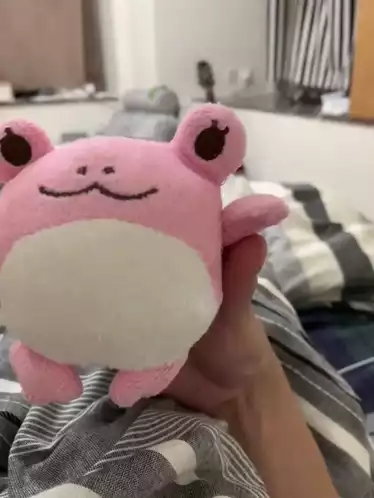 Cute Pink Momo Frog Plushie Waving