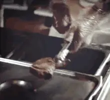 Sizzling Pork Chop
