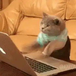 Cute Cat Typing Fast on Laptop