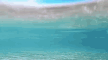 GIF caricata da Jack