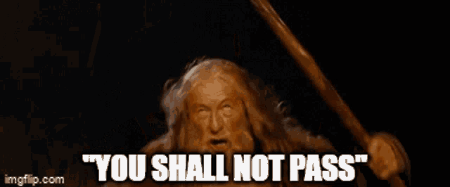 Gandalf: You shall not pass