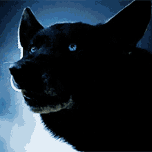 GIF uploaded by Sam
