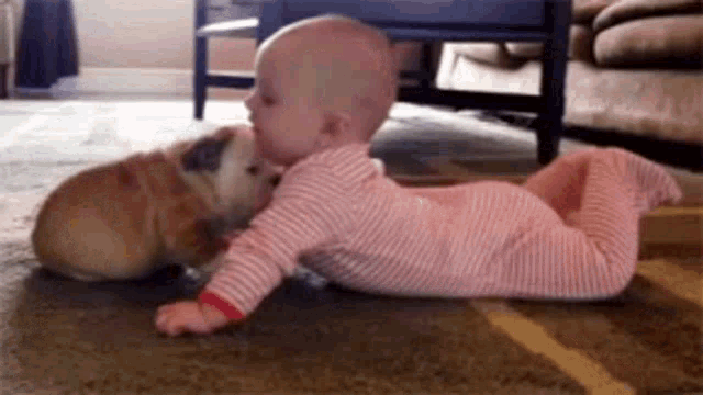Adorable Baby and Puppy Playtime