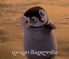 მადლობა დიდი