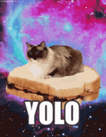 GIF