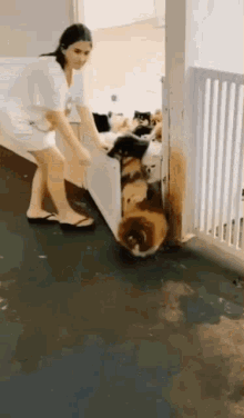 GIF