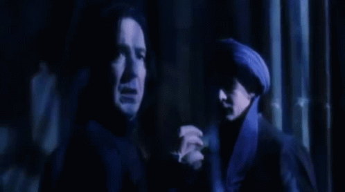 Harry Potter And The Sorcerers Stone: Snape & Quirrell