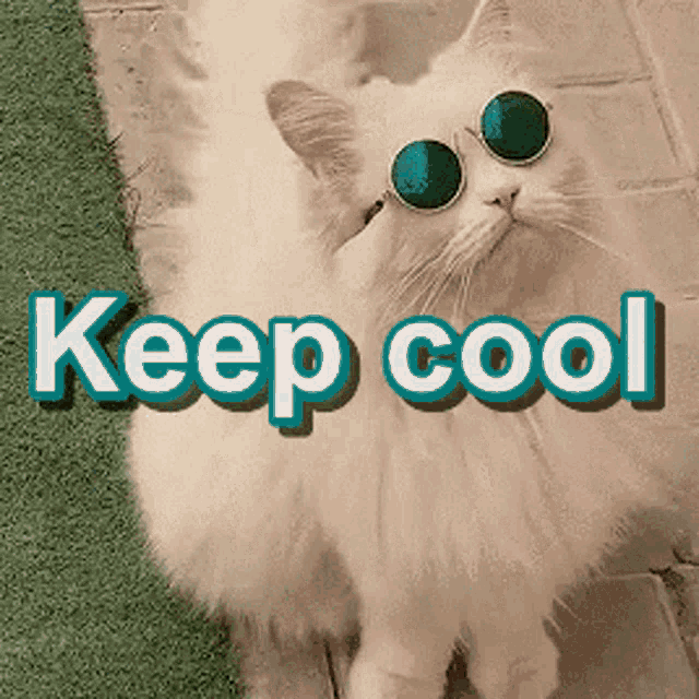 Cool Cat with Sunglasses: Keep Cool