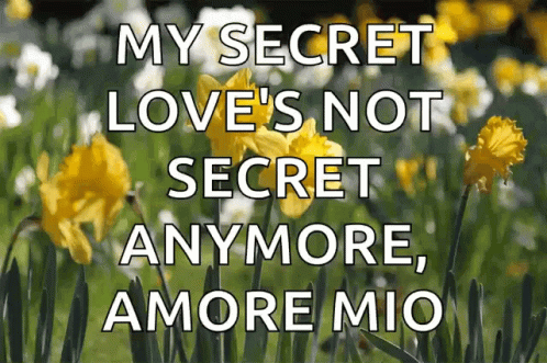 Spring Daffodils: My Secret Love Amore Mio