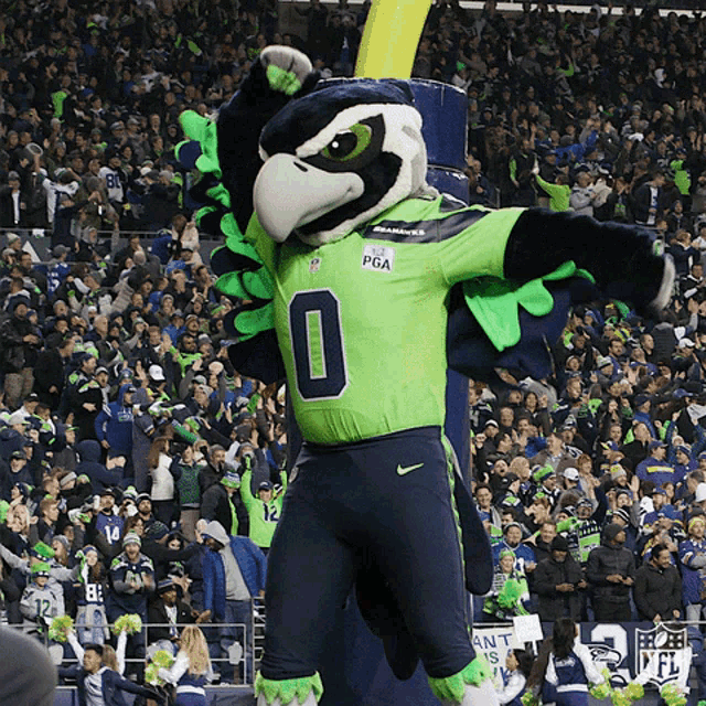 Seattle Seahawks Mascot Blitz Pumps Up Crowd