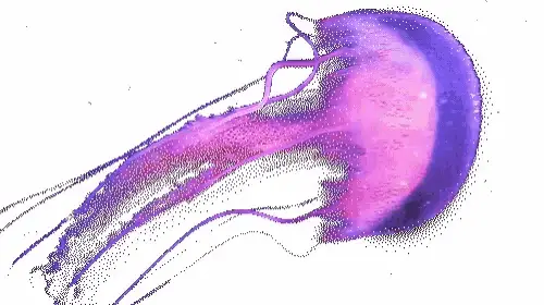 Vibrant Purple Jellyfish Floating