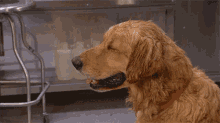 GIF uploaded by K