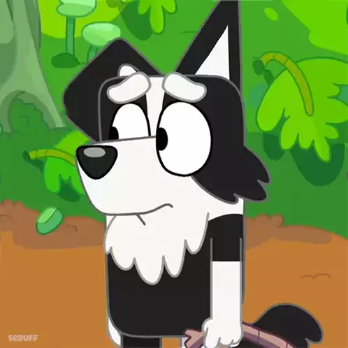 Bluey's Mackenzie Looks Confused