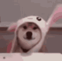 DD上传的GIF