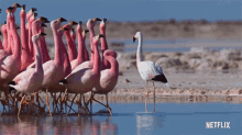 GIF uploaded by ms Mia