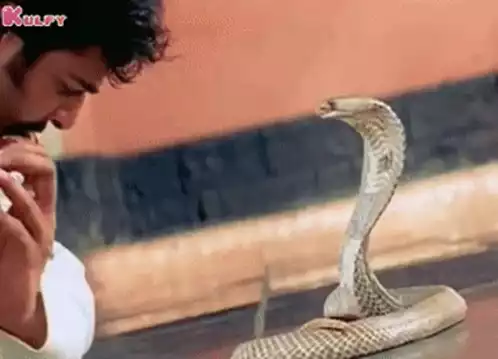 Young Rebel Star Prabhas in Pournami Movie Snake Scene