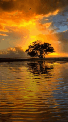 GIF subido por Stranger