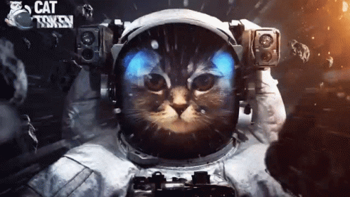 SkysUUgk.gif
