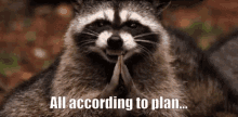GIF gi-upload ni No