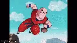 DBZ: Krillin & Piccolo Senzu Bean