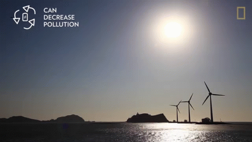 Renewable Energy: Solar, Hydro, Wind Power