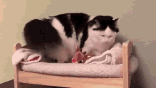 GIF uploaded by CHeeKy ORyZa