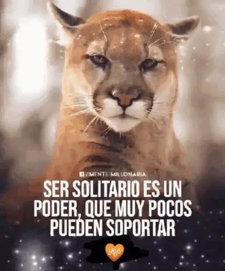 Puma Solitario: Puerto Rico Dios