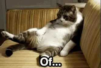 Relaxing Cat with 'Of...' Text | Memes Of 2026 Memes | CheckMeme Relaxing Cat with 'Of...' Text – memes of 2026 meme GIF free download no watermark 2026