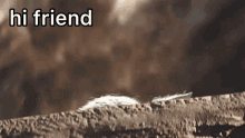 GIF uploaded by Alex