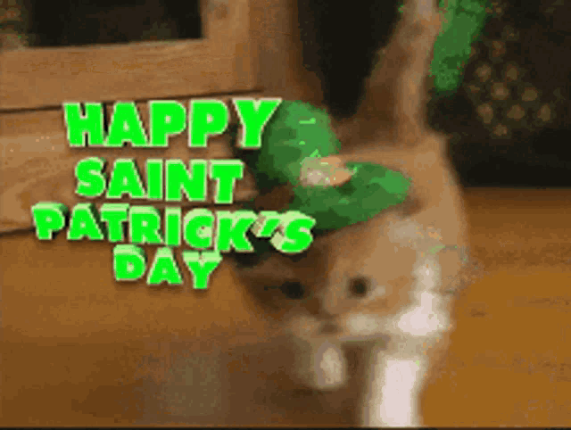 Happy Saint Patrick's Day with a Cute Cat