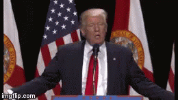 Donald Trump Speaking: The Orange Man