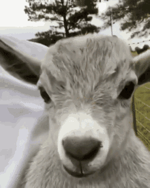 GIF uploaded by read bio