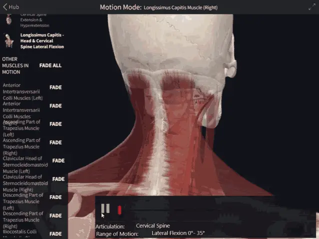 Longissimus Capitis Head And Cervical Spine Lateral Flexion