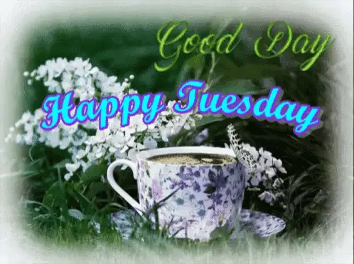 Happy Tuesday Morning Coffee Greeting – free GIF download | meme platform | memes GIF