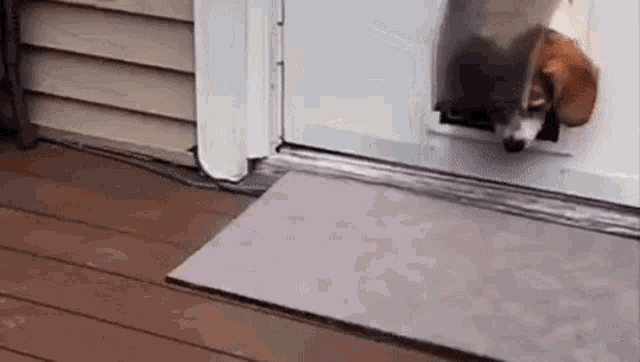 Chubby Dog Struggles Through Dog Door
