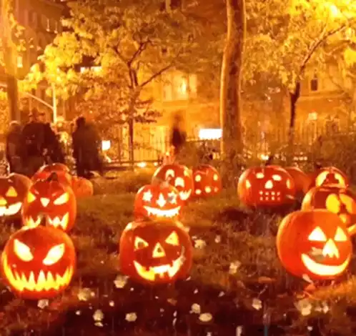 Glowing Halloween Jack O' Lanterns in a Park