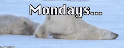 Mondays Be Like: Tired Polar Bear – free GIF download | meme platform | memes GIF