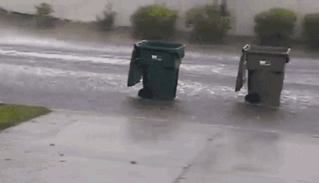 fsq6zhbk.gif