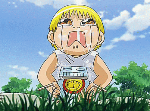 Zatch Bell Golden Gash: What a Wonderful Story