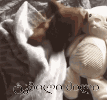 ძილი ტკბილი