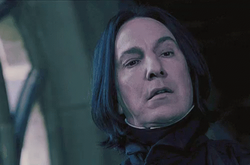 Snape's 'Orly?' Look (Harry Potter)
