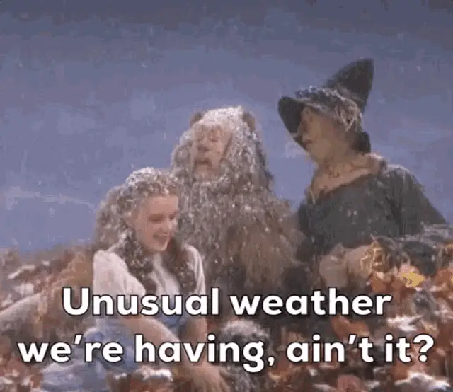 Wizard Of Oz: Unusual Weather