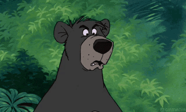 The Jungle Book Baloo's Confused Look