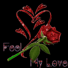 Feel My Love