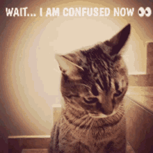 GIF ארויפגעלאדן דורך Lashay