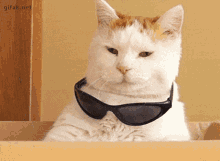 GIF uploaded by May